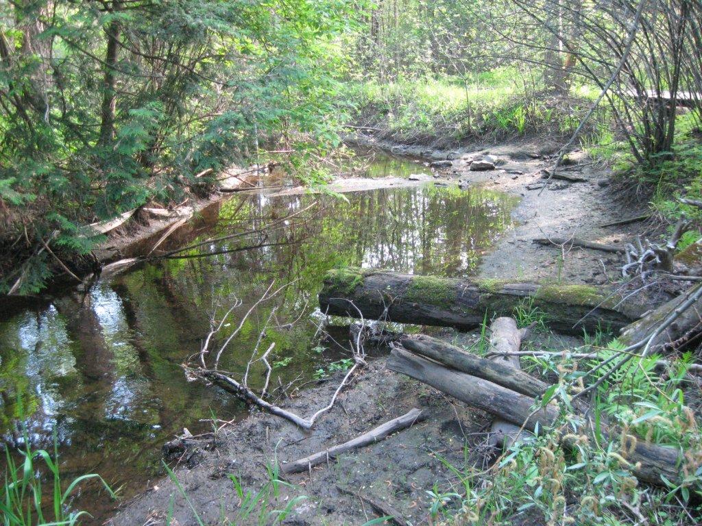 Poole Creek Fish Habitat Larocque Levstek Consulting Services