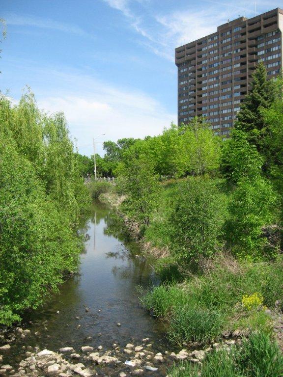 Sawmill Creek Larocque Levstek Consulting Services