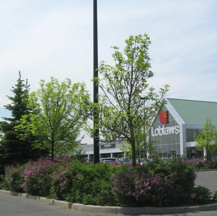 South Keys Commercial Centre Larocque Levstek Consulting Services